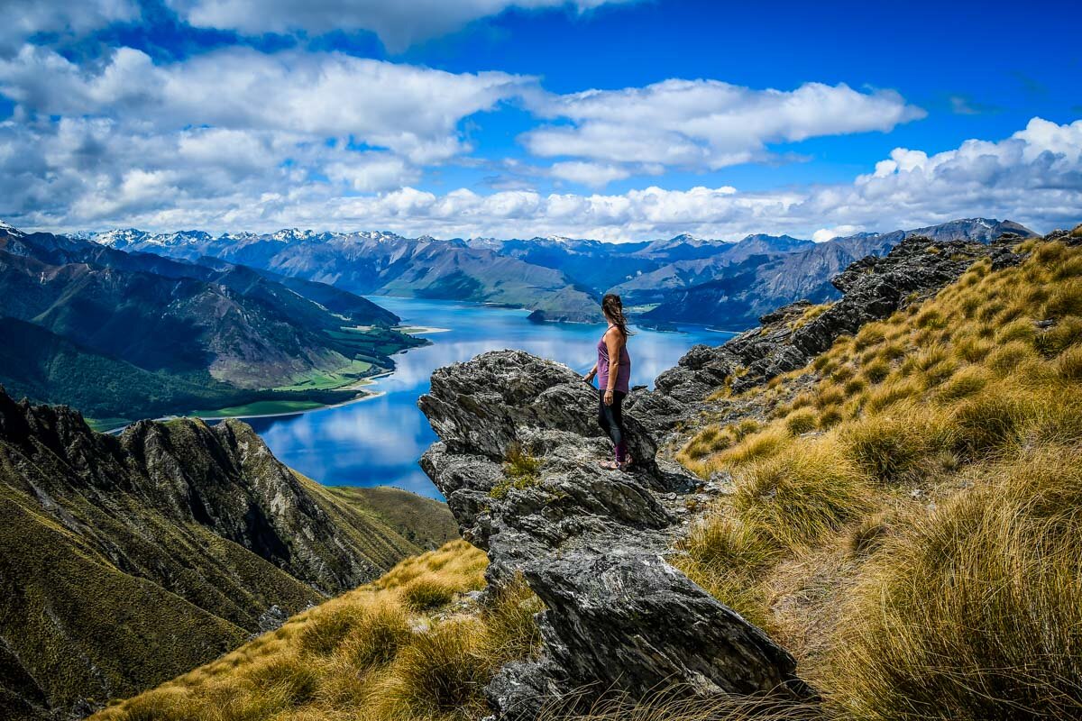Scenic Tours and Hikes in New Zealand